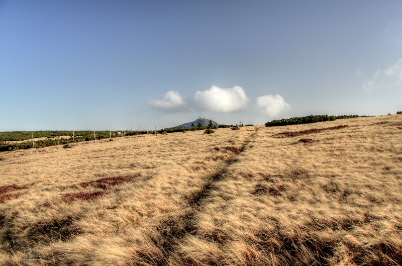 IMG_7165_ToneMapping.jpg