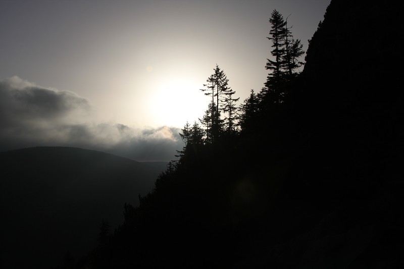 IMG_7209.jpg