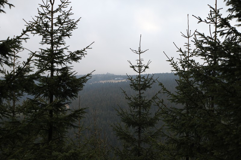 IMG_7284.jpg
