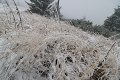 thn_IMG_2941.jpg