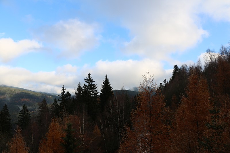 IMG_3118.jpg