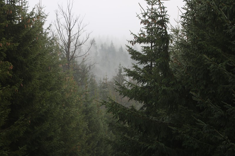 IMG_3147.jpg