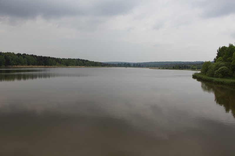 IMG_8667.jpg