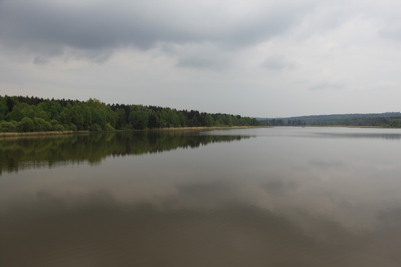 IMG_8675.jpg