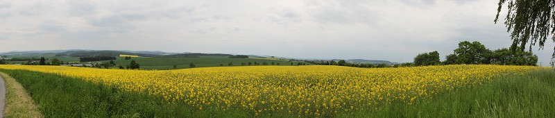 IMG_8620_panorama.jpg