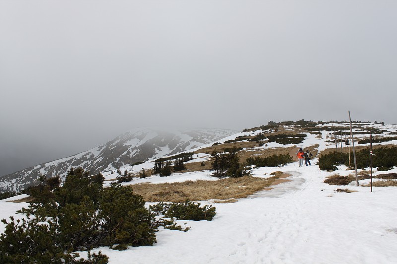img_IMG_6134.jpg