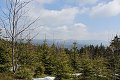 thn_IMG_6230.jpg