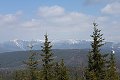 thn_IMG_6247.jpg