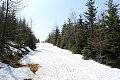 thn_IMG_6249.jpg