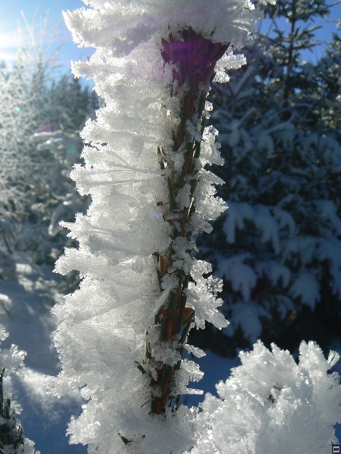 Silvestr_08_den2_16.jpg