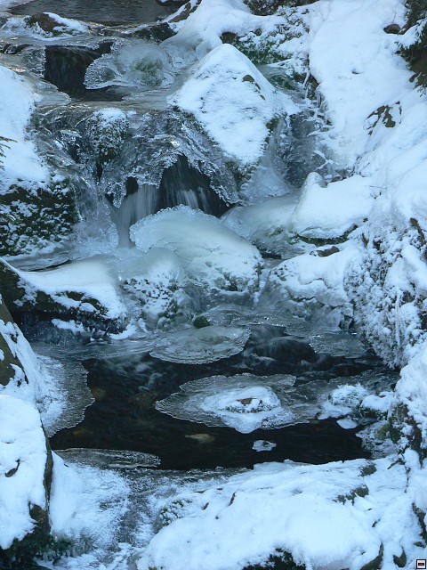 Silvestr_08_den2_19.jpg