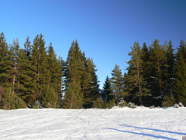Silvestr_08_den2_29.jpg