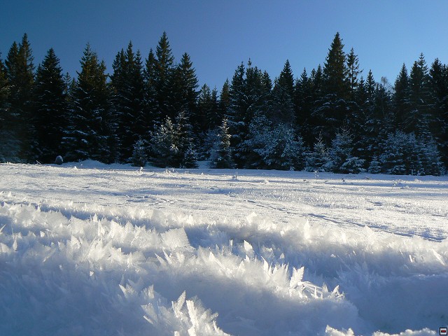 Silvestr_08_den2_30.jpg