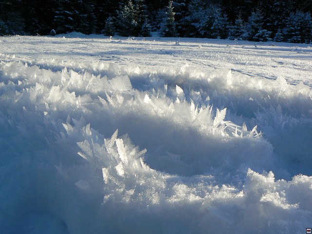 Silvestr_08_den2_31.jpg