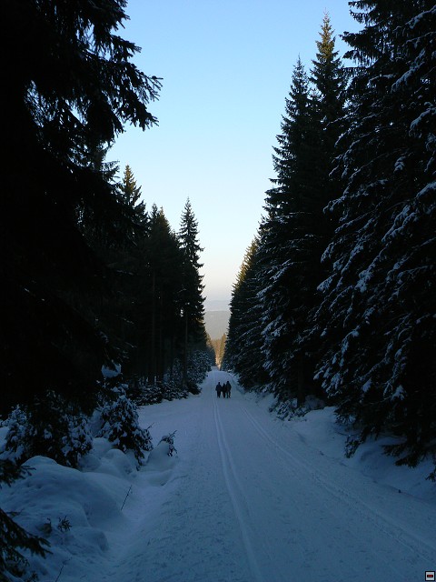 Silvestr_08_den3_17.jpg