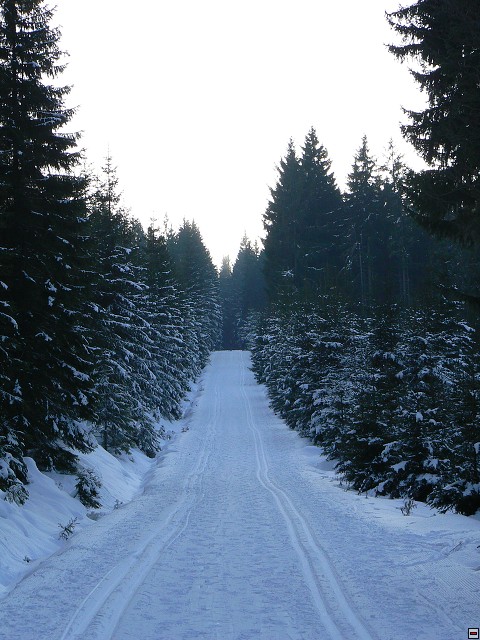 Silvestr_08_den3_19.jpg