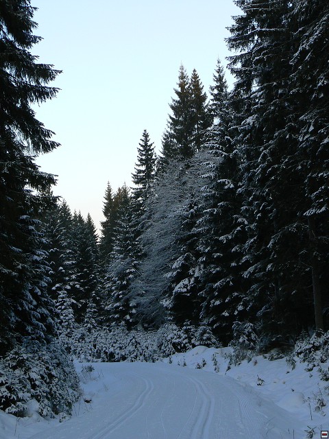 Silvestr_08_den3_20.jpg
