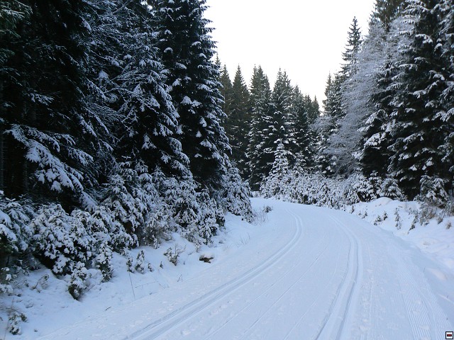 Silvestr_08_den3_21.jpg