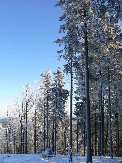 Silvestr_08_den5_22.jpg