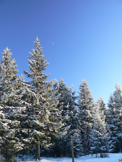 Silvestr_08_den5_31.jpg