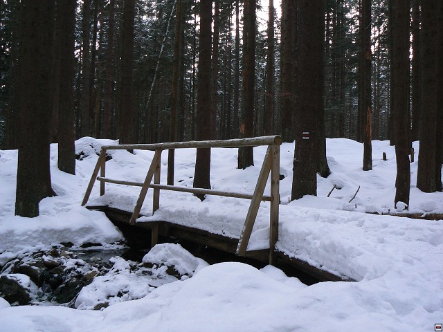 Silvestr_08_den5_32.jpg