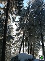 thn_Silvestr_08_den5_19.jpg