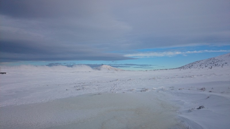 DSC_0300.jpg