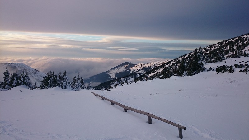 DSC_0305.jpg
