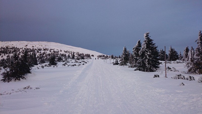 DSC_0306.jpg