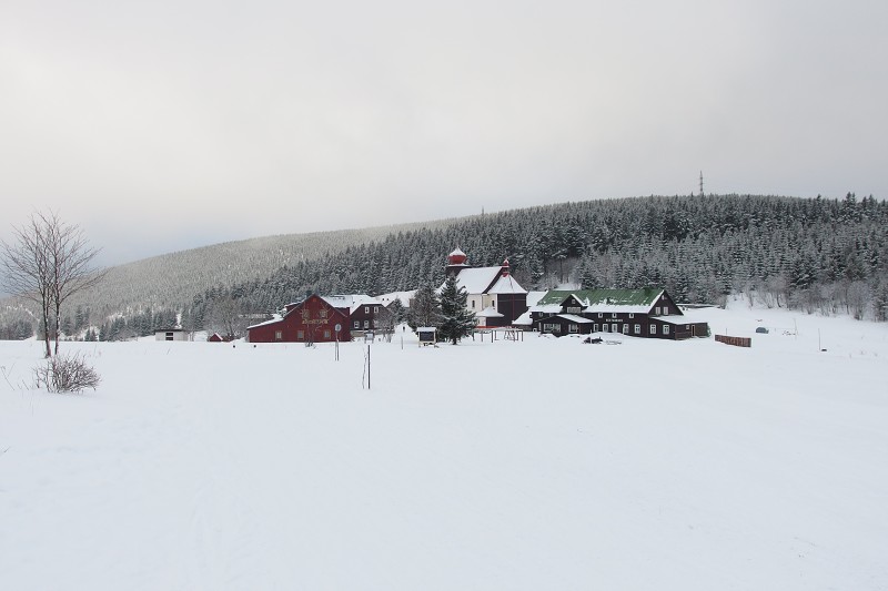 P1180100.jpg