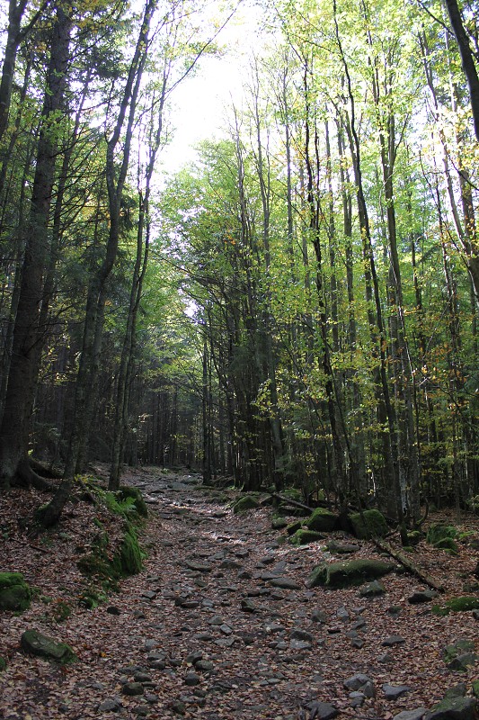 IMG_4859.jpg
