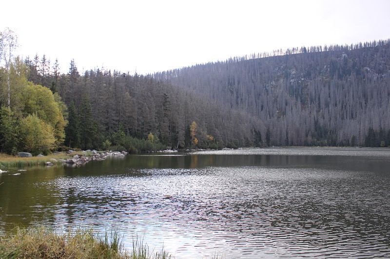 IMG_4867.jpg