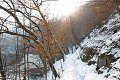 thn_IMG_9469.jpg