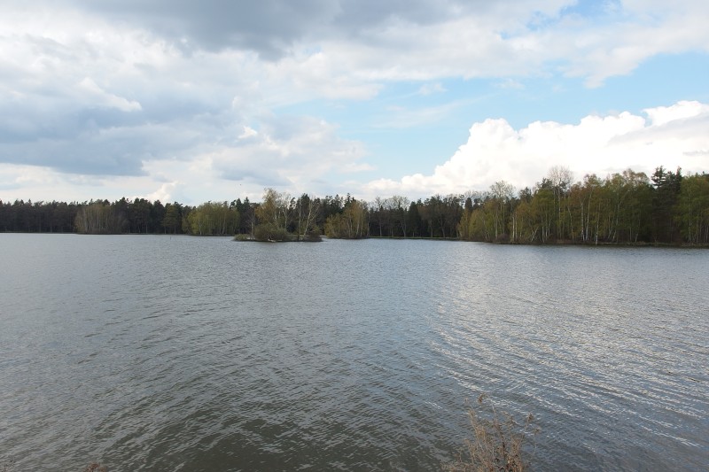 P4200162.jpg