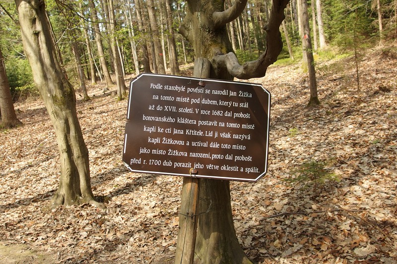 P4210183.jpg
