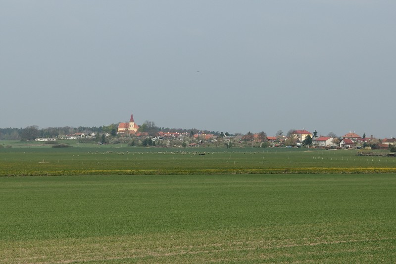 P4190100.jpg