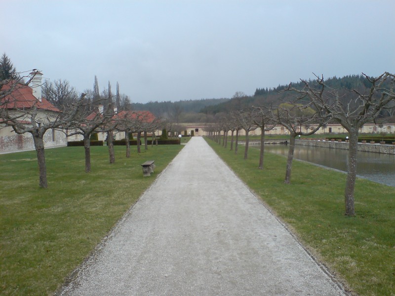 DSC00234.jpg