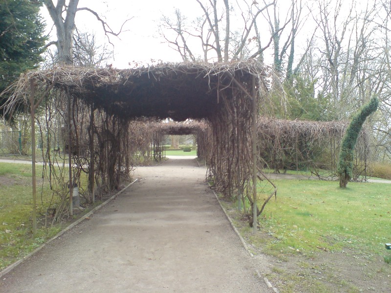 DSC00243.jpg