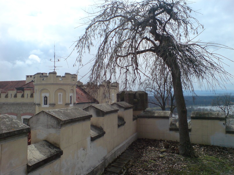 DSC00262.jpg