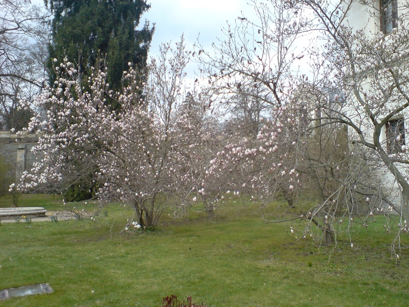 DSC00279.jpg