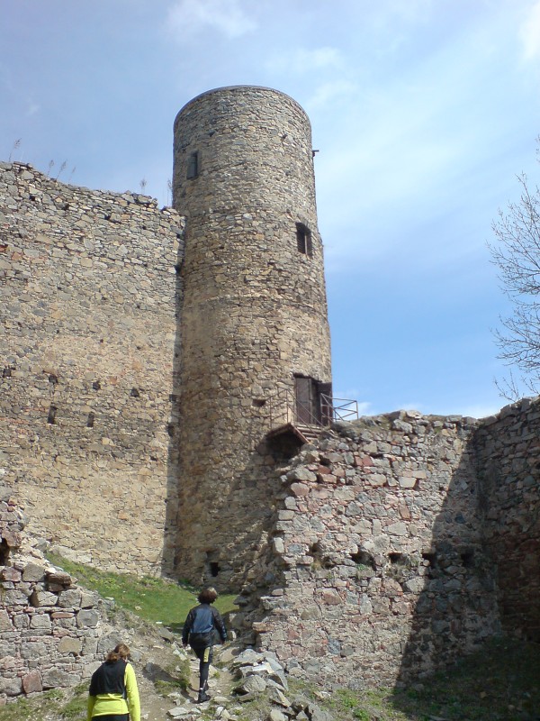 DSC00295.jpg