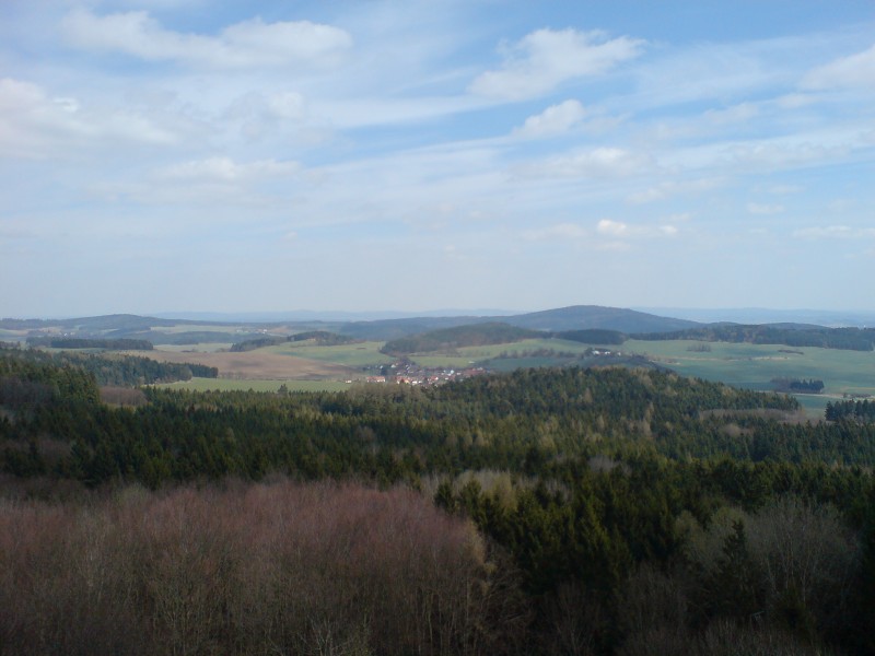 DSC00300.jpg