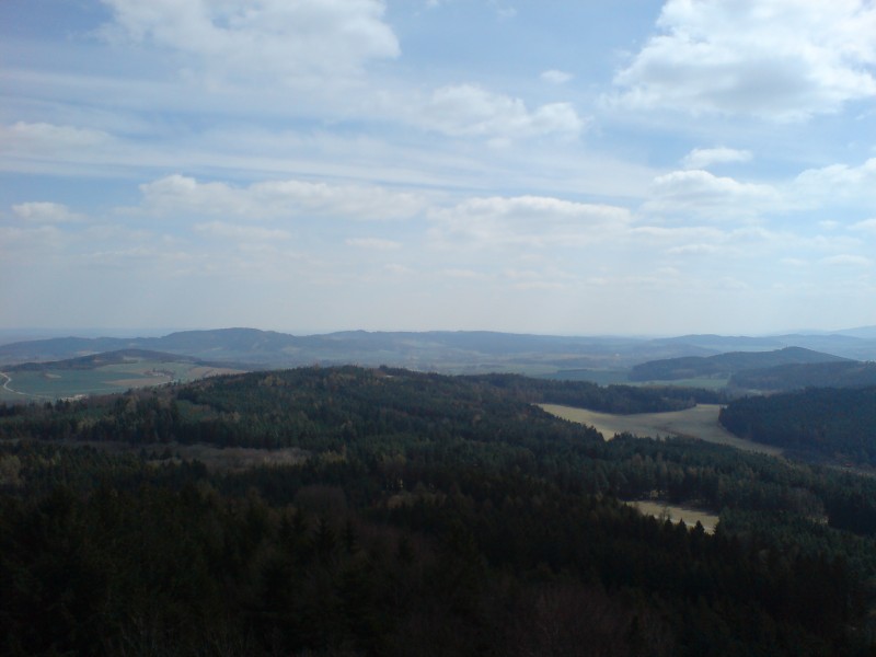 DSC00302.jpg