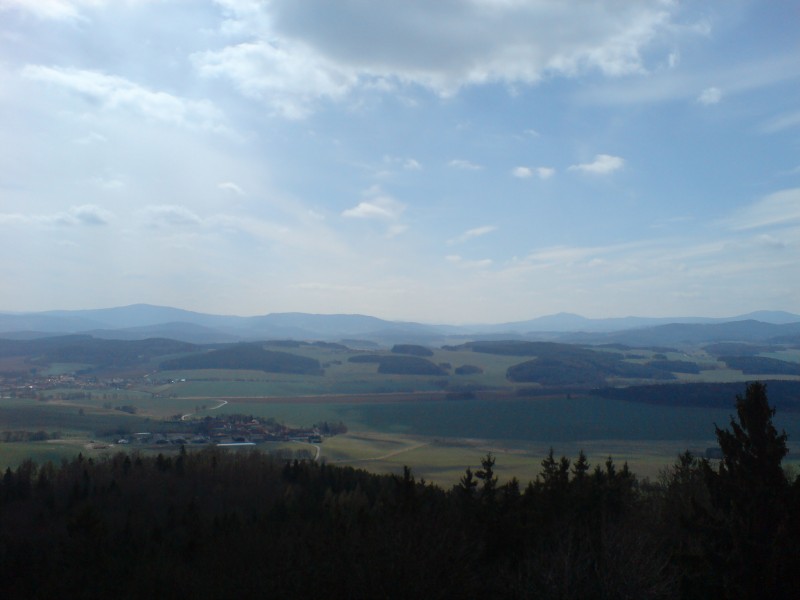 DSC00304.jpg