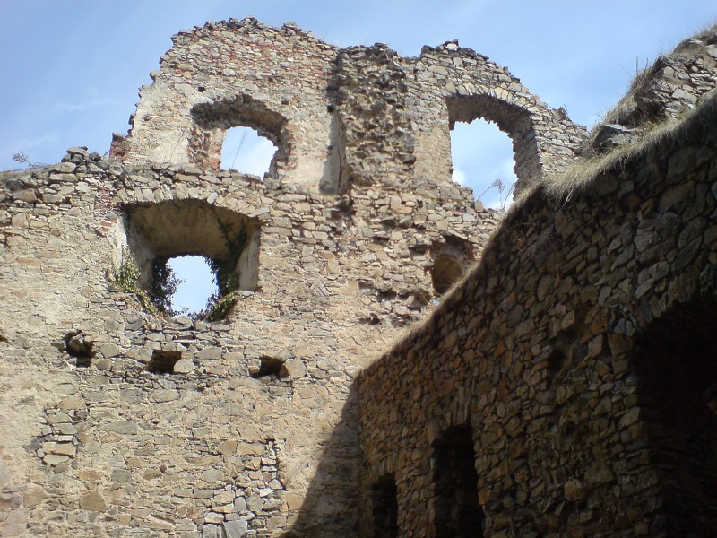 DSC00310.jpg